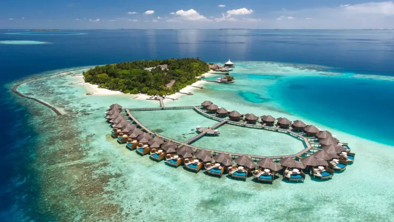 best dive resorts maldives