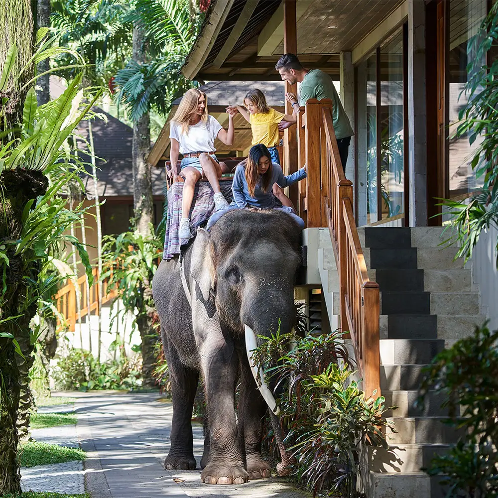 best family friendly resorts in Bali mason elephant park lodge WIWT